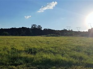 1065 m² Land available in Berg en Dal