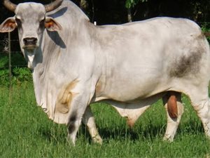 46.8 ha Farm in Kameelfontein and surrounds