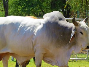 47.8 ha Farm in Kameelfontein and surrounds