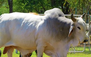 47.8 ha Farm in Kameelfontein and surrounds