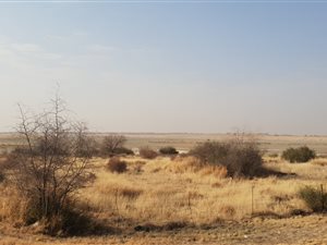 141 ha Land available in Stella