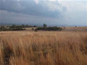 2 ha Land available in Doornrandje