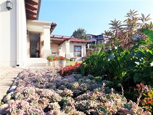 3 Bed House in Schoongezicht
