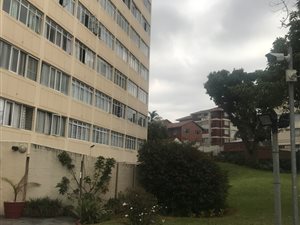 1 Bed Apartment in Morningside