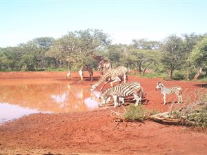 5 ha Land available in Northam