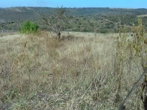 3368 m² Land available in Mkondeni
