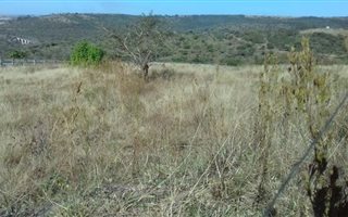 3368 m² Land available in Mkondeni