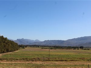 61 ha Farm in Wolseley