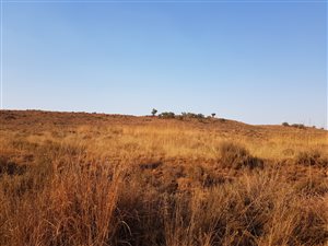 4.4 ha Land available in Hartzenbergfontein