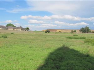 1000 ha Land available in Struisbult
