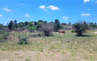 968 m² Land available in Roodeplaat