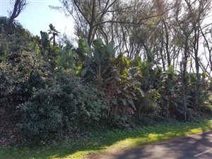 1012 m² Land available in Tinley Manor Beach