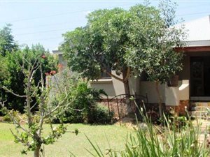 3 Bed House in Boardwalk Meander