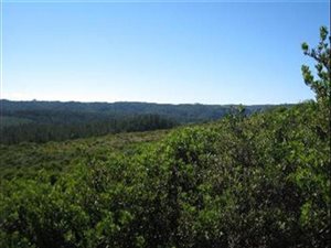 3436 m² Land available in Pezula Private Estate