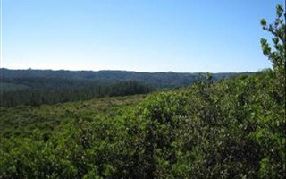 3436 m² Land available in Pezula Private Estate