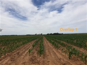 1031 ha Farm in Kroonstad
