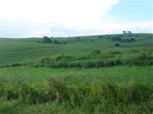 4 ha Land available in Tongaat Central
