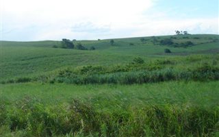 8 ha Land available in Tongaat Central