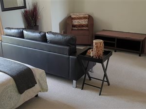 Studio Apartment in De Wijnlanden