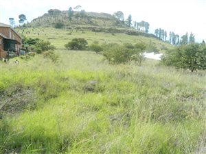 1671 m² Land available in Balmoral