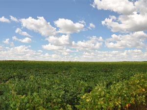 416 ha Farm in Bethlehem