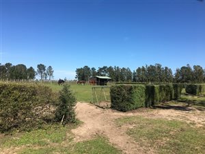 11 ha Farm in The Crags