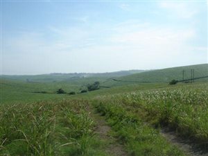 5 ha Land available in Tongaat Central