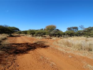 145 ha Land available in Bela-Bela (Warmbaths)