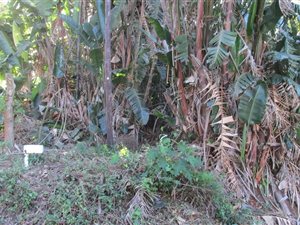 1230 m² Land available in Marina Beach
