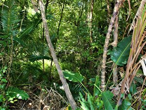 1264 m² Land available in Leisure Bay