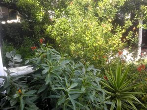 1 Bed Flat in Myburgh Park