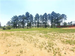 6429 m² Land available in Ormonde