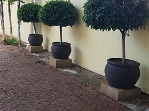 2 Bed Townhouse in Colbyn
