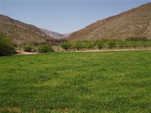2 ha Farm in Prince Albert