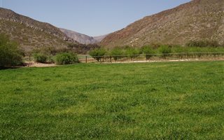 2 ha Farm in Prince Albert