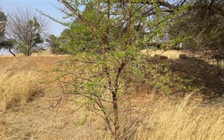 2540 m² Land available in Seekoeiwater AH