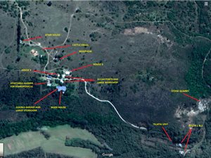 145 ha Farm in Bathurst and Surrounds