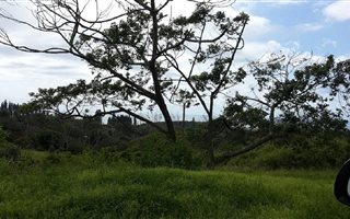 1100 m² Land available in Saiccor