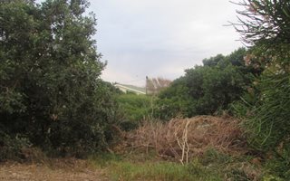 424 m² Land available in Aston Bay