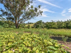 6931 m² Land available in Shakaskraal