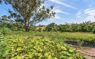 6931 m² Land available in Shakaskraal