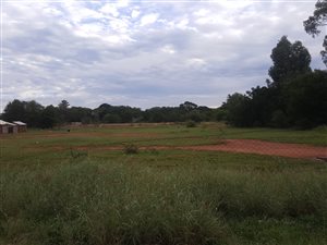 2 ha Land available in Winternest