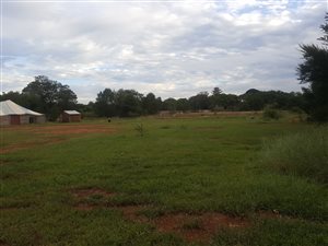 2 ha Land available in Winternest