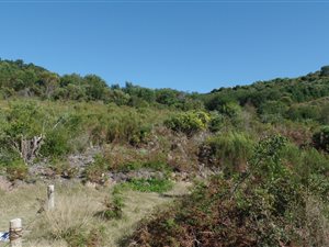 1079 m² Land available in Lake Brenton