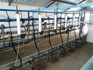 60 ha Farm in Koppies