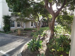 3 Bed Apartment in Pearl Rise