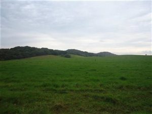 9.8 ha Farm in Cove Rock