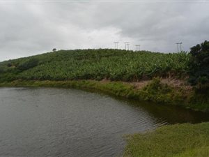 40 ha Farmland in Glenmore