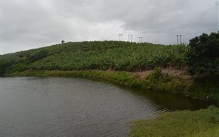 40 ha Farmland in Glenmore