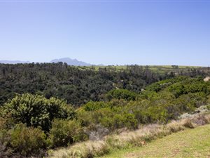 1140 m² Land available in Oubaai and surrounds